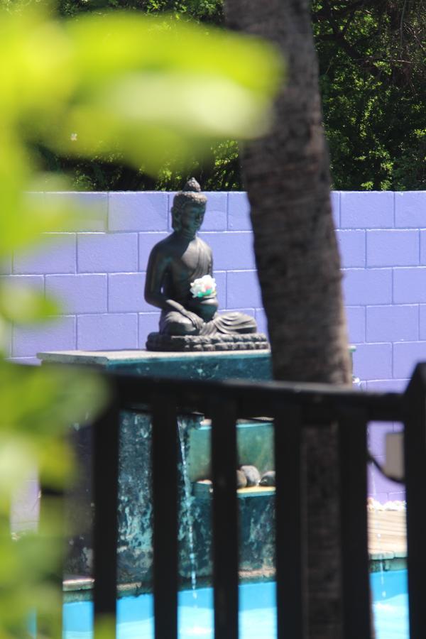 拉萨尔勒班Le Vacoa住宿加早餐旅馆 外观 照片
